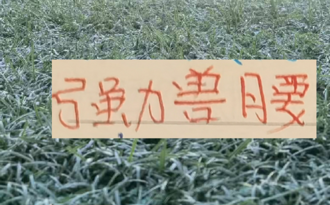 赏金女王试玩-中超前4的后腰 反而申花是国产的兽腰 其他球队都是洋货